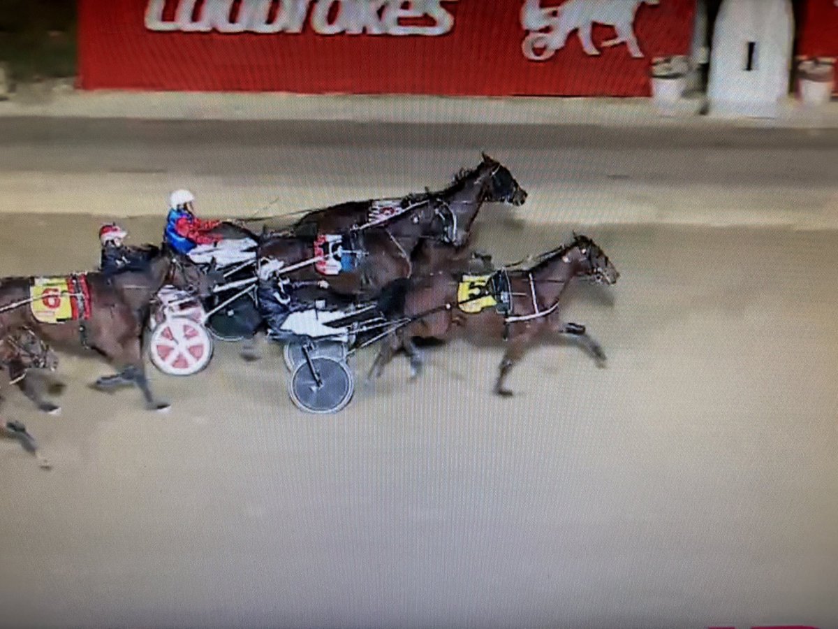 Nylstroem's tweet photo. Talk about a family affair…..

Last night at Globe Derby Park, Gaita ‘The Queen’ Pullicino teamed up with her son Tony for a double….

Hurricane Ed and My Bucks Night gave the pair a rare double together….Gaita as Driver and Tony as Trainer….

Cheers to you both…..🥂🥂🥂🥂 https://t.co/l5kRj25MOE
