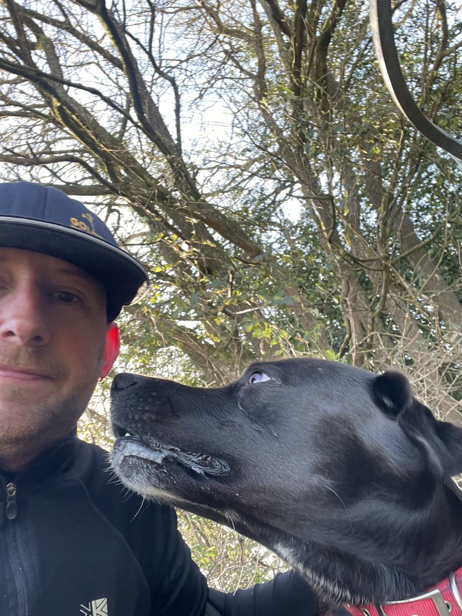 Onedove's tweet photo. @liamgallagher Morning Liam. Me &amp; Wesley sending big love. The best running partner ✌🏻✌🏻 https://t.co/Ewt9GjHr92