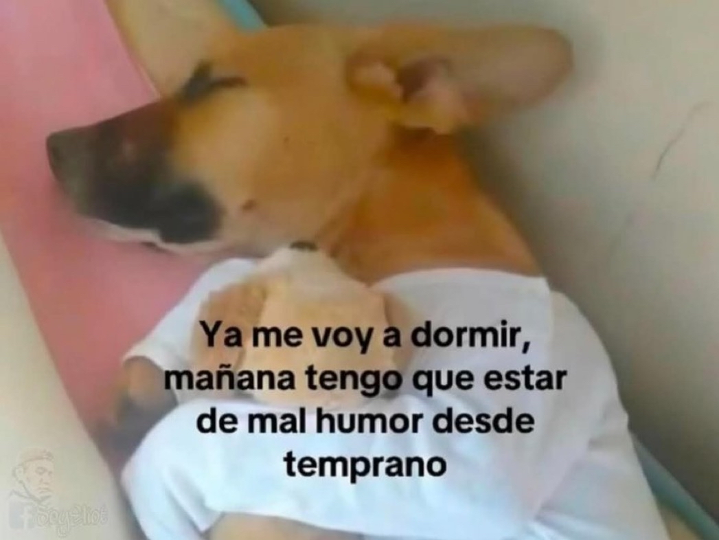 Guarromantico_'s tweet photo. A mimir. https://t.co/F9CywJQ0u1