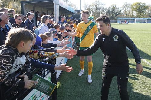Horsham FC tweet media