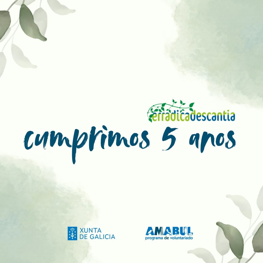 asocamabul's tweet photo. Neste ano contamos coa colaboración da @Xunta para desenvolver este programa de voluntariado que procura o control da Tradescantia fluminensis nas riberias do Ulla.
#erradicadescantia https://t.co/7lXvqn3BDp