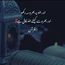 Staunch Insafian tweet media