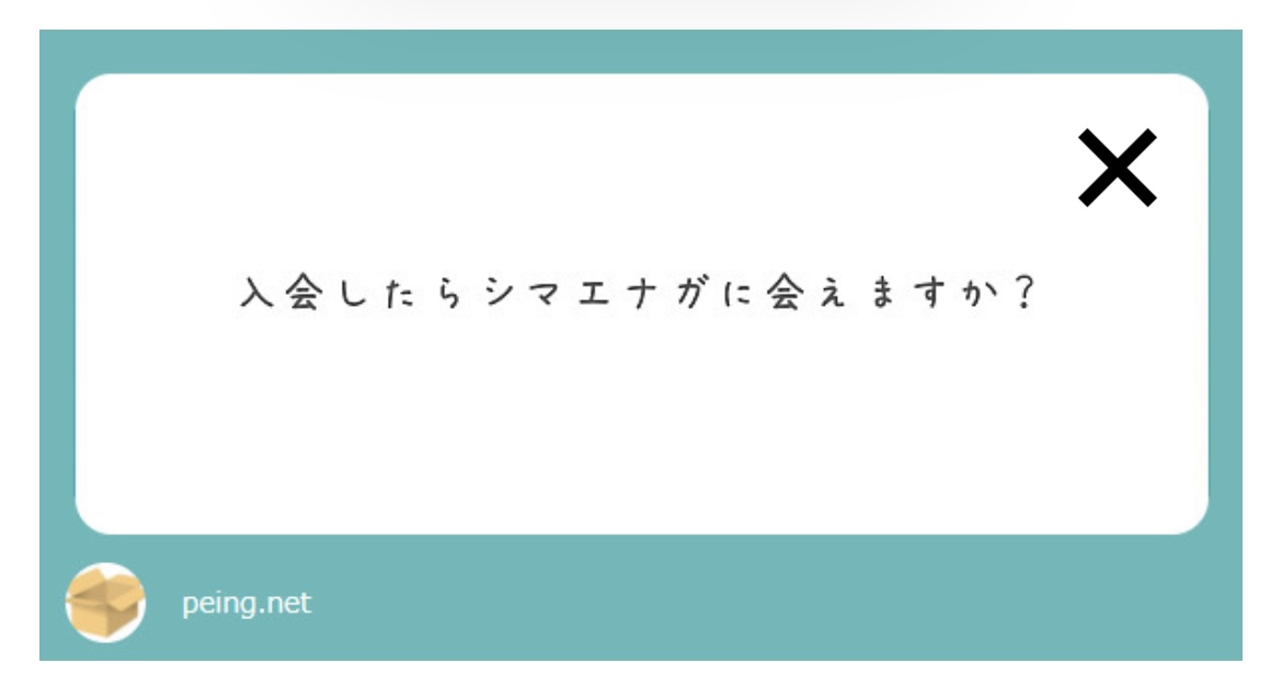 ku_toriken's tweet photo. 質問箱を始めました！
InstagramとXのプロフィールに貼りつけてあるURLからご質問いただけます！

普段の活動について、過去の遠征場所など何でもお気軽にご質問ください🦉

https://t.co/18qjgjPfR0 https://t.co/xk5biocJ59