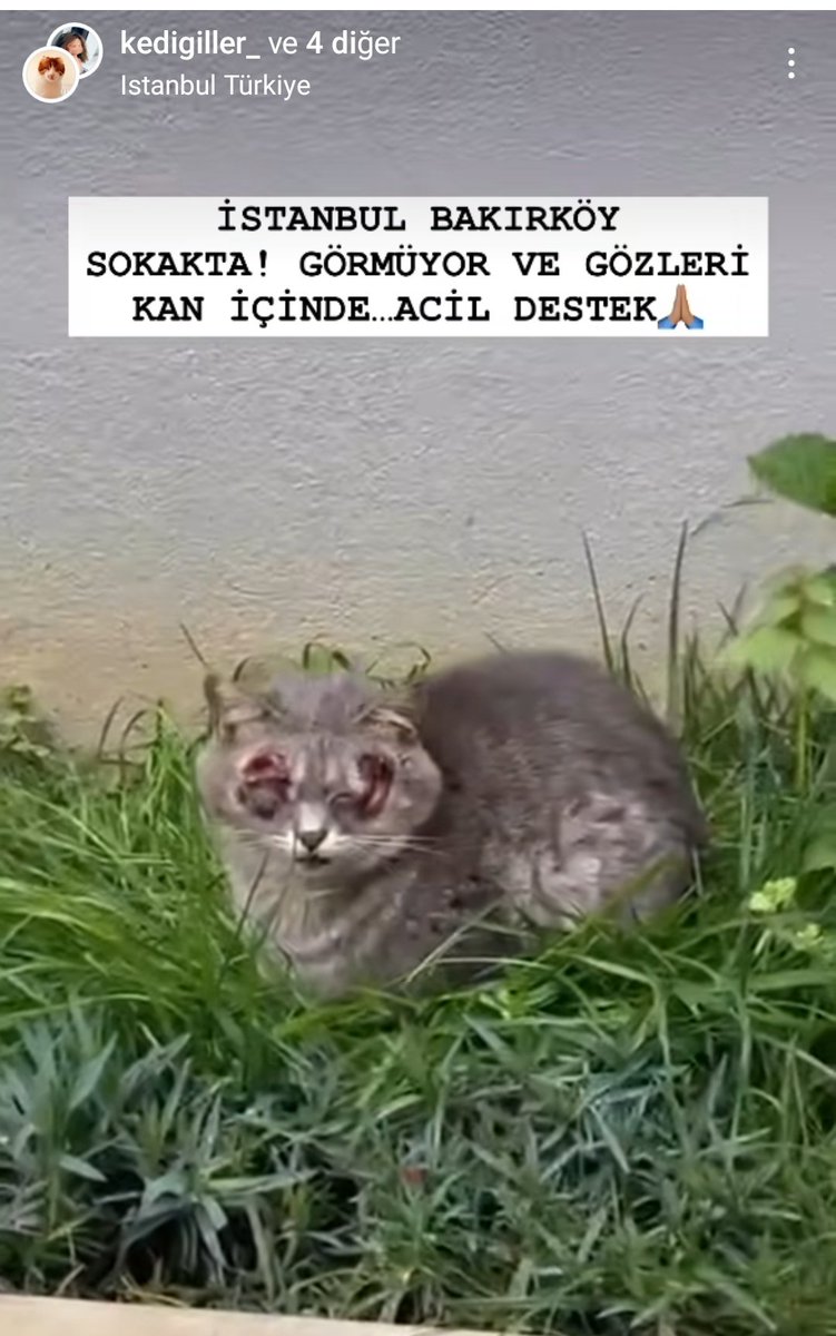 svgcni's tweet photo. Yardım edebilir misiniz? https://t.co/JT0kCYtZFn