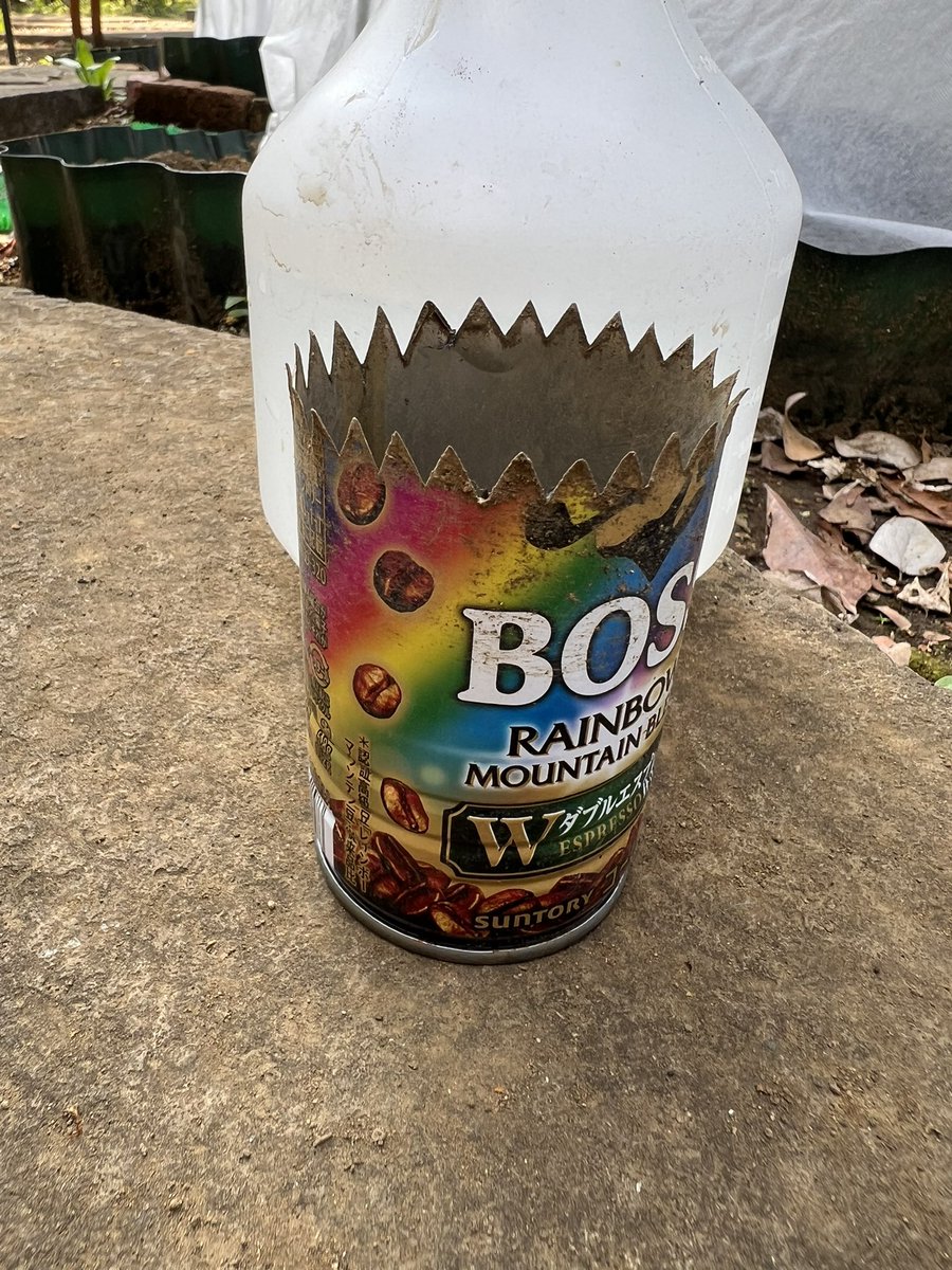 おはこんにちばんわ✨なおちこです😊

今日は自分のことをやろうと
大根さん、人参さんの種蒔きしました🥕
人参さんに至っては、前回全滅
でしたからねぇ🥹⤵︎
頑張っていきましょう💪🏻😆
あ💡穴開け缶も現役ですよ🥫

#家庭菜園
#人参
#大根