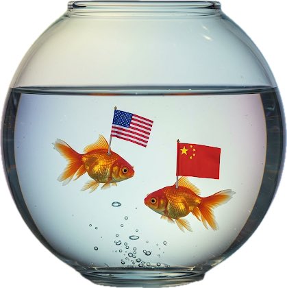 Swimming is fun, let’s swim together around the world. 🌎