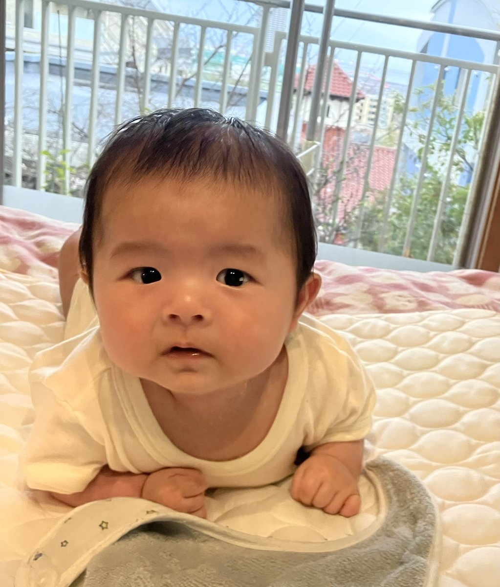 ariotororogohan's tweet photo. @arabu1968 あらぶのおじちゃん こんどあそぼうね https://t.co/EaPgYMVIjY