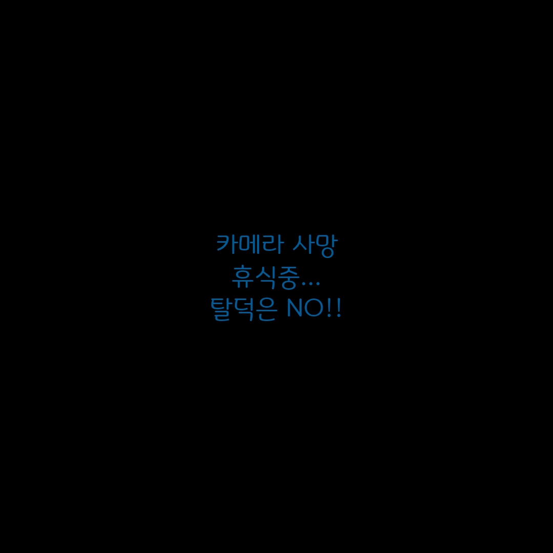 elegancebong's tweet photo. 카메라 사망이후 현생만 살고있네
갱년긴가..귀찮고 막..그르네.... https://t.co/To5SY4hOhY