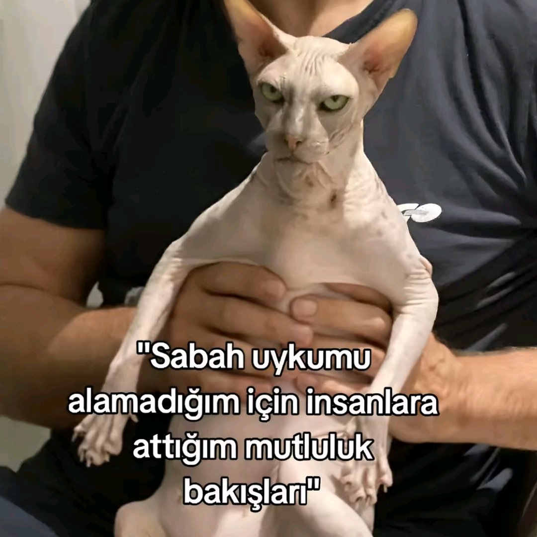 anlikmod's tweet photo. https://t.co/bimLVMFaFh