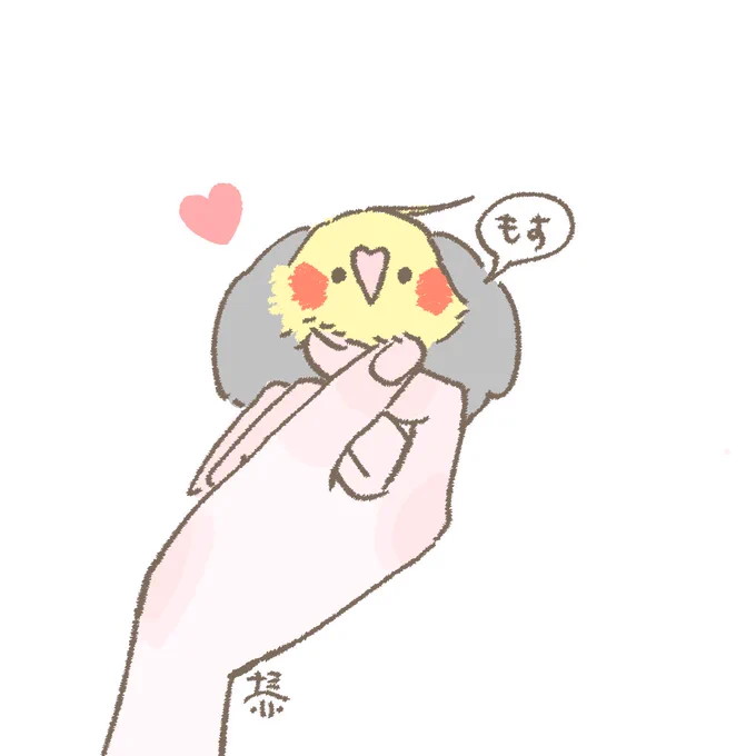 おはようございます 1週間お疲れ様でした!4月18日(金)の朝です。 あざとインコ #オカメインコ