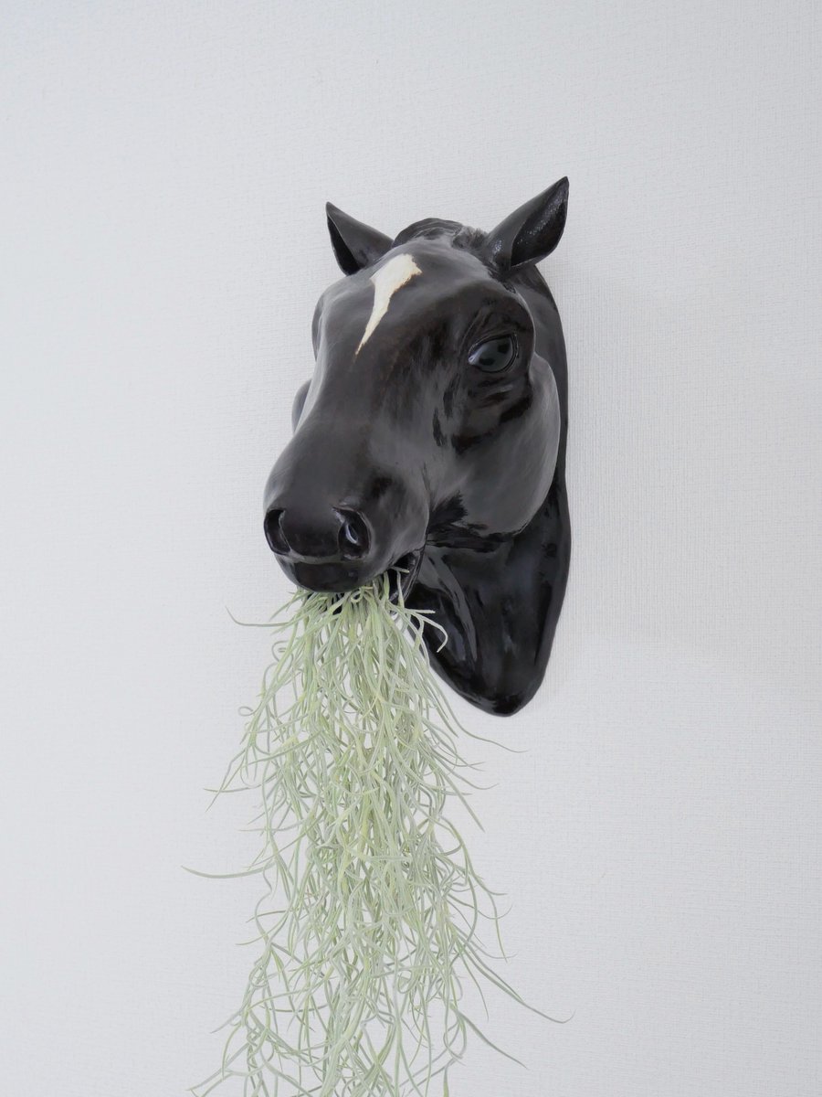 77Gems's tweet photo. 陶器の馬インテリア出来たよー！！
早速エアープランツ、ウスネオイデスをセットしました！
うーん完全に生牧草だ🌱🐴

#Yoicrafts #陶芸 #自作鉢 #陶器 
#インテリア #観葉植物 #エアープランツ https://t.co/isMdwgxPd9