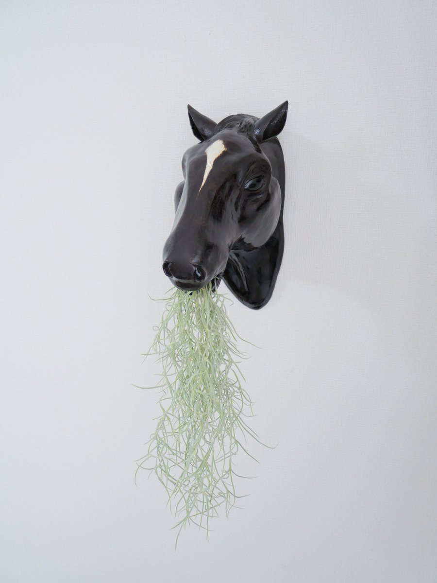 77Gems's tweet photo. 陶器の馬インテリア出来たよー！！
早速エアープランツ、ウスネオイデスをセットしました！
うーん完全に生牧草だ🌱🐴

#Yoicrafts #陶芸 #自作鉢 #陶器 
#インテリア #観葉植物 #エアープランツ https://t.co/isMdwgxPd9