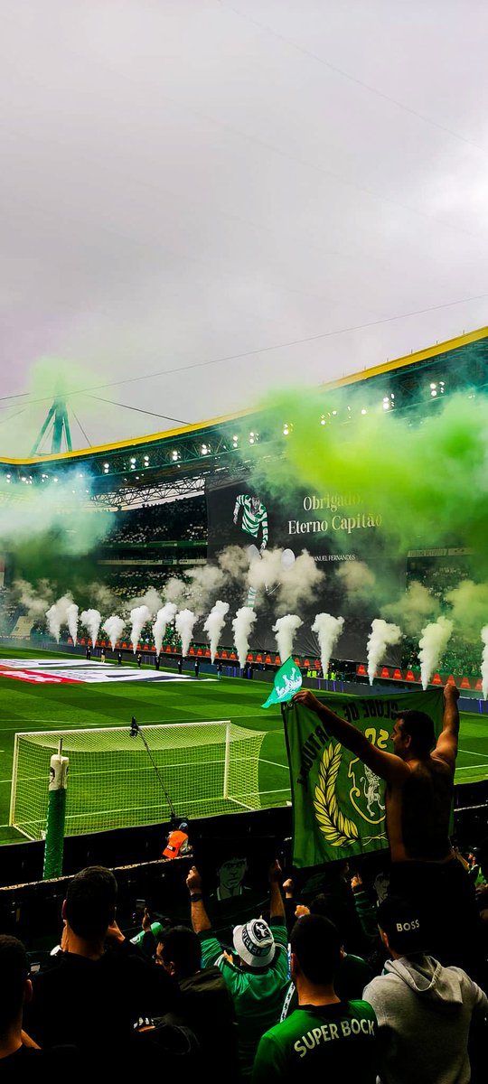 Sporting CP Pictures That Go Hard (@scp_pictures) on Twitter photo 