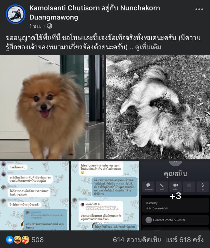 RISE TO 🌟 tweet media