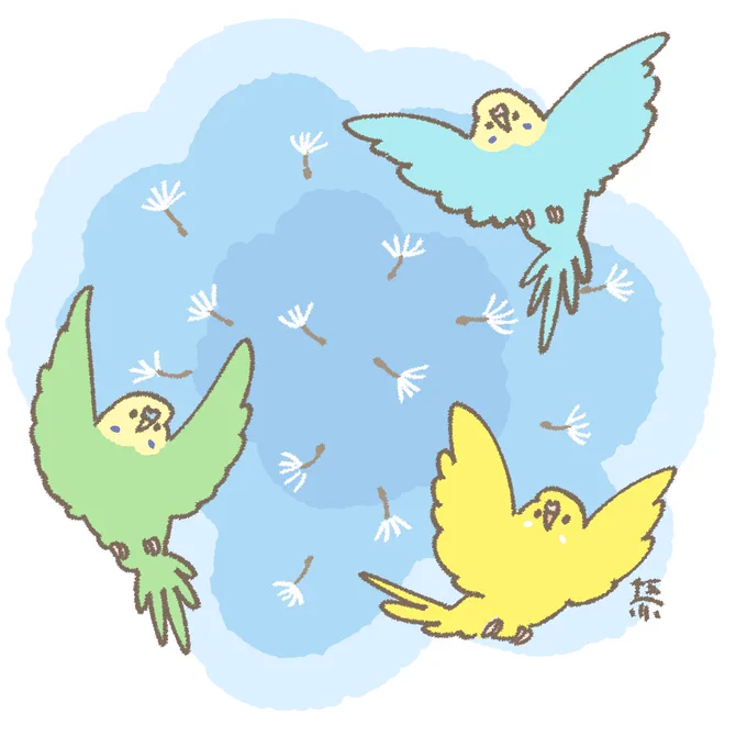 おはようございます 綿毛舞う今日は4月20日(日)です 春の風〜 #セキセイインコ