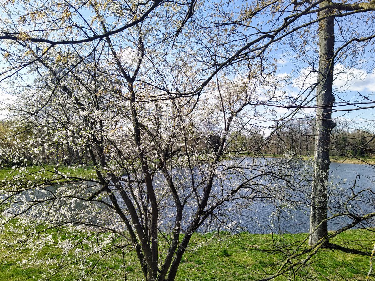 EwaWisniewska78's tweet image. Let&apos;s share what impresses us 🤍

Bloom like spring - with courage, lightness, and the belief that the best is yet to come.

🤍Good morning.

📸 By me