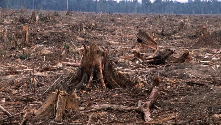 Martha56848329's tweet image. By leveraging cutting-edge technology, $DMTR #Dimitra is helping to ensure that farming not only thrives but does so responsibly, preserving forests for future generations @dimitratech #ZeroDeforestation #SmartFarming #InclusiveFarming #EUDR #Altcoins #Crypto $BTC $SOL $XPR $RIO