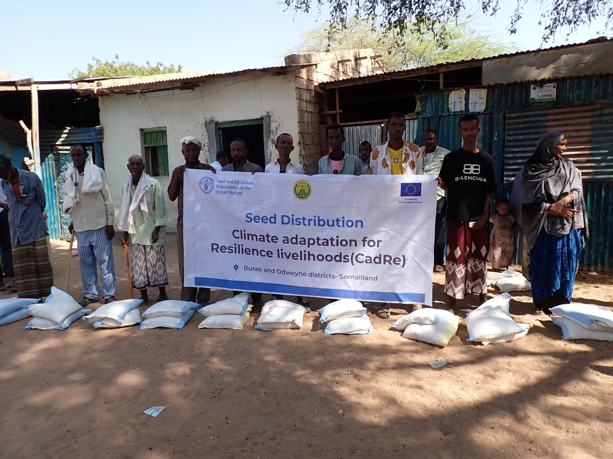 FAOSomalia's tweet photo. Smallholder farmers in Burao and Odweyne have received vital agricultural inputs (seeds) through FAO's #CadReProject, funded by the @EU_in_Somalia.
This initiative is strengthening resilience and boosting local food production. 🌱💪 #SustainableAgriculture #FoodSecurity https://t.co/e8z8Yw2AQH