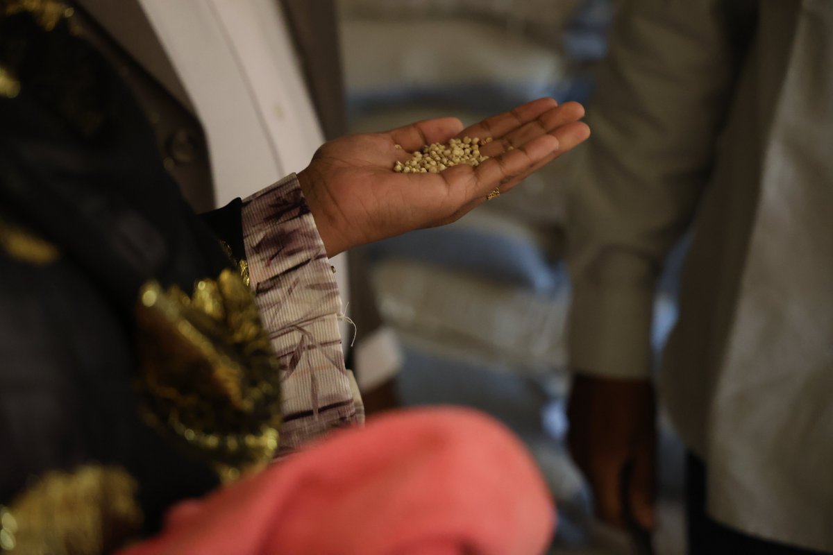FAOSomalia's tweet photo. Smallholder farmers in Burao and Odweyne have received vital agricultural inputs (seeds) through FAO's #CadReProject, funded by the @EU_in_Somalia.
This initiative is strengthening resilience and boosting local food production. 🌱💪 #SustainableAgriculture #FoodSecurity https://t.co/e8z8Yw2AQH