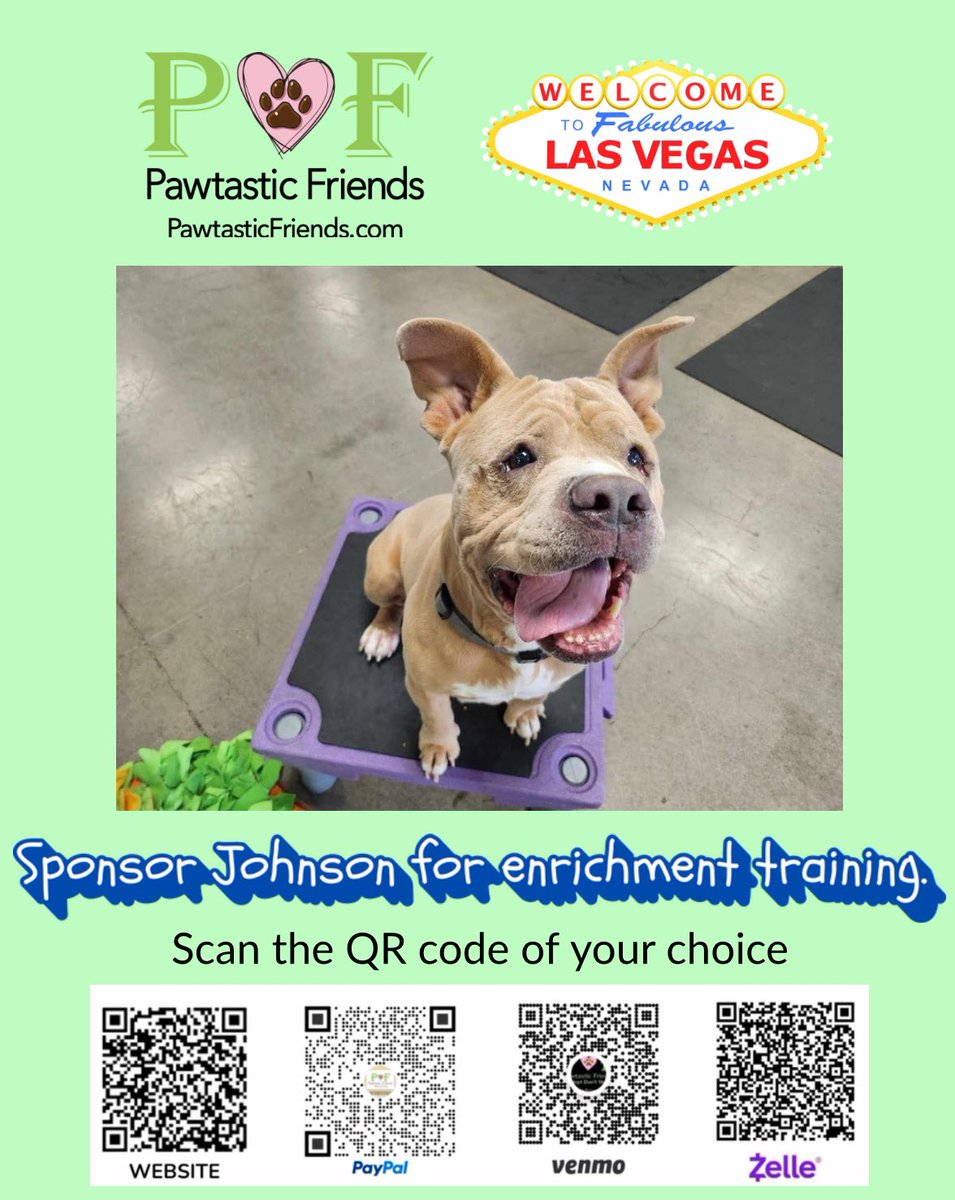 Pawtastic Friends-Non-profit organization tweet media