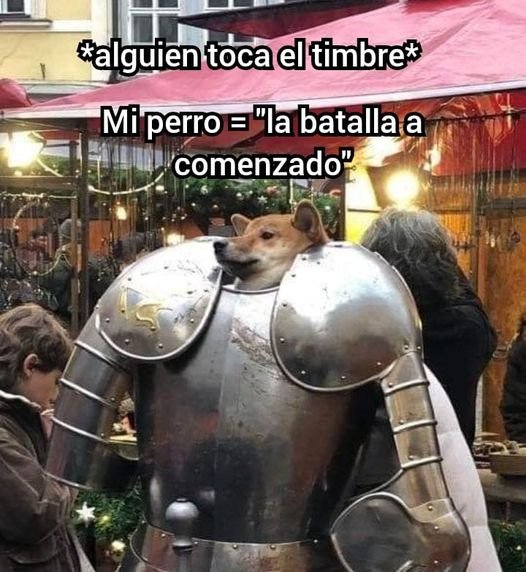 ymuchosmemes's tweet photo. https://t.co/eBNWojoFBt