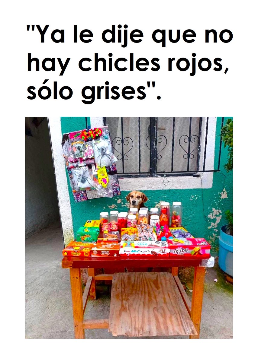 EstudiosComunic's tweet photo. ¿Qué no está viendo? 🙄🍬🤣. https://t.co/uWbX7gWGoV