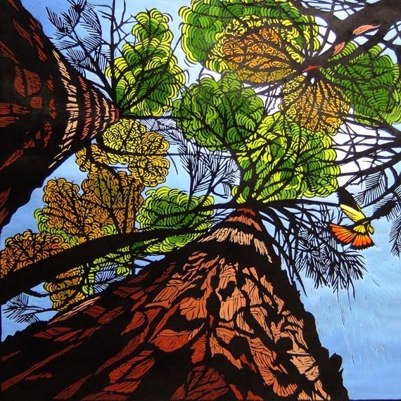 Gail Kellet's linocut studies of the Australian flora and fauna around her home in Southern Australia #WomensArt
