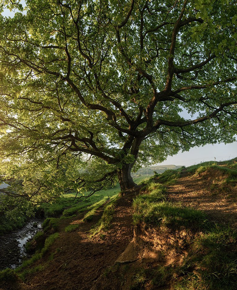 Andrew Brooks tweet media