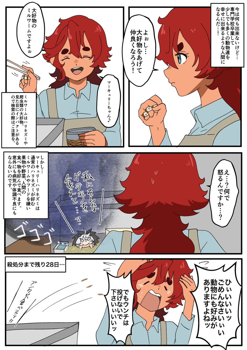 「魔女とハリネズミ」①🦔※誤字修正版💦

わかりやすくタグ作っておきます
#マーキュリーハリネズミ 