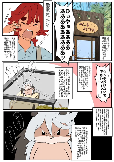 「魔女とハリネズミ」①🦔※誤字修正版💦

わかりやすくタグ作っておきます
#マーキュリーハリネズミ 