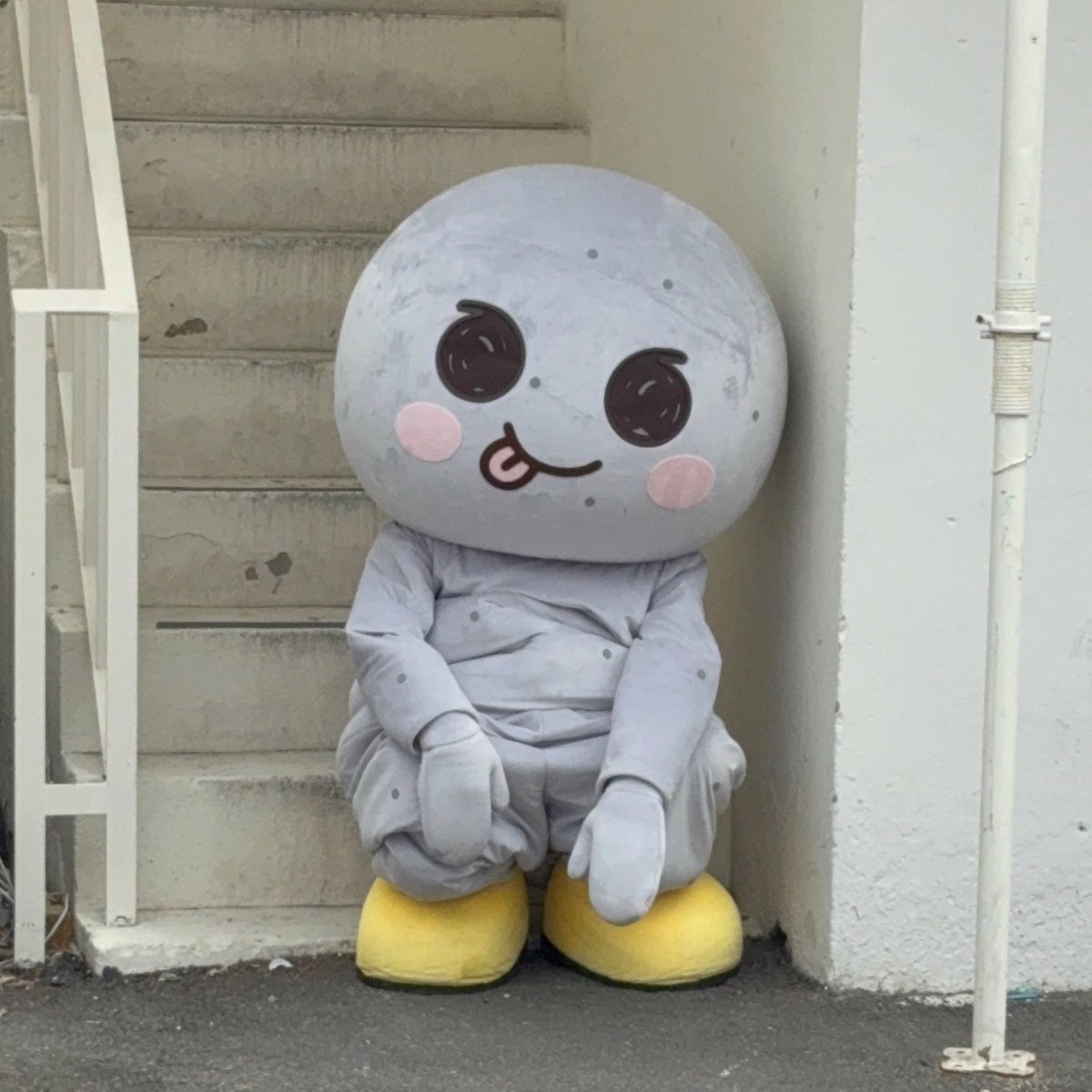 _ipuddingu's tweet photo. มาเล่นกานเถอะ
มาเล่นกานเถอะ https://t.co/zE3Cm1VcrN