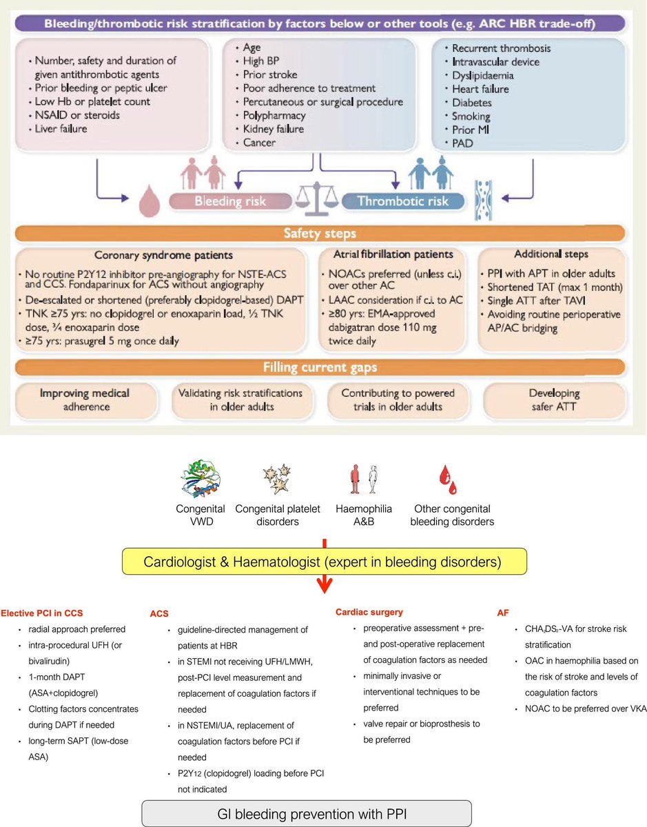 Konstantin Krychtiuk (@krychtiukmd) on Twitter photo Management of patients with congenital bleeding disorders and cardiac indications for antithrombotic therapy
- joint effort by <a href="/escardio/">European Society of Cardiology</a> ACVC, EAPCI, EHRA, WG CVPT and <a href="/EAHADnews/">EAHAD</a>
Kudos to <a href="/dan_atar/">Dan Atar</a> for leading this complex but important project!
academic.oup.com/ehjcvp/article… Management of patients with congenital bleeding disorders and cardiac indications for antithrombotic therapy
- joint effort by <a href="/escardio/">European Society of Cardiology</a> ACVC, EAPCI, EHRA, WG CVPT and <a href="/EAHADnews/">EAHAD</a>
Kudos to <a href="/dan_atar/">Dan Atar</a> for leading this complex but important project!
academic.oup.com/ehjcvp/article…