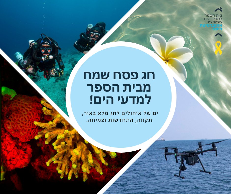 חג פסח שמח ושיהיו לנו בשורות טובות 🌷🌻🍷🌿