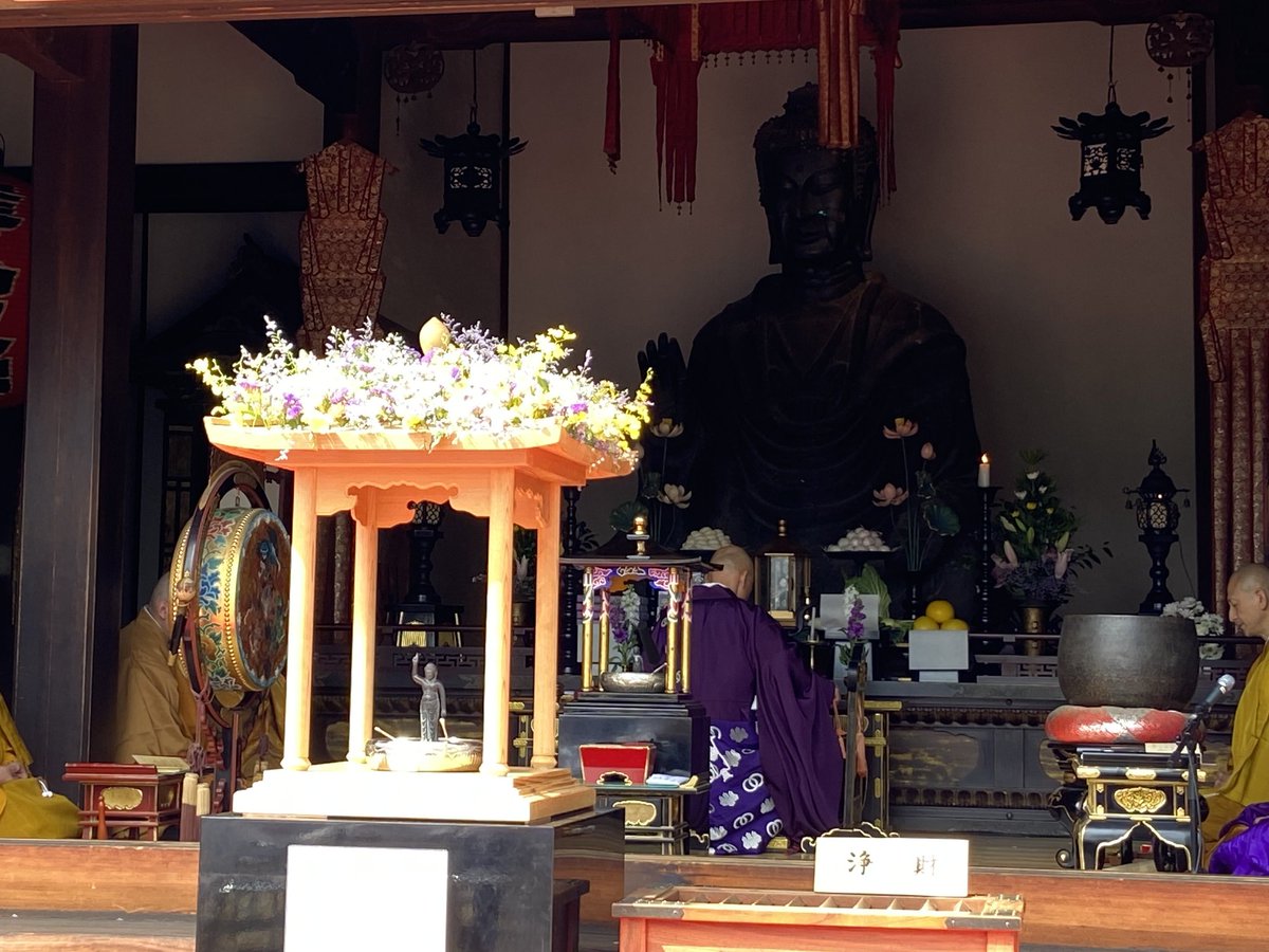 4月8日快晴、桜満開の飛鳥寺にて花会式が開催‼️
1416年前、609年4月8日に、完成したばかりの飛鳥大仏の眼前で、日本の花会式が始まりました。
これに因み、飛鳥・藤原世界遺産登録推進協の専門家委員会長 木下正史先生に「飛鳥寺と飛鳥大仏の創立  
～“日本国”のあけぼの」との題でご講演頂きました。