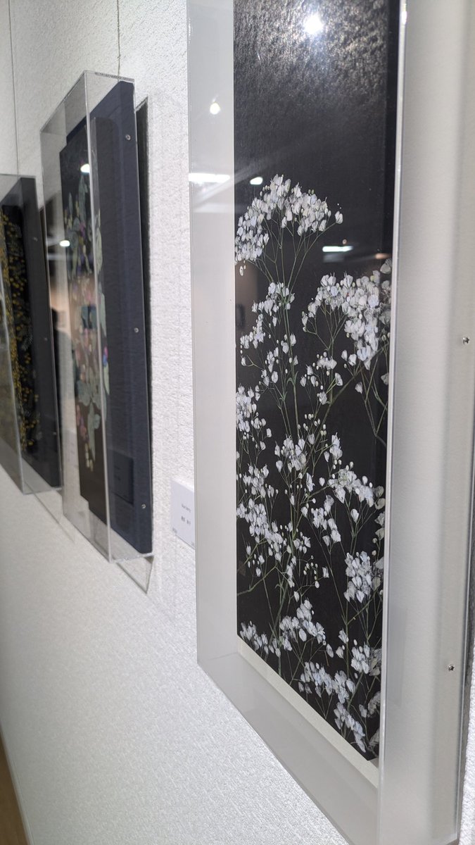 isococo_38's tweet photo. 名古屋芸術大学卒業生展
「Whale of Fortune」

2025年4月1日㈫〜4月12日㈯　
10:00-18:00/月曜休館

AARON GALLERY
〒162-0837 東京都新宿区納戸町２６−８ AARONビル 1F https://t.co/2eeLs2vWg7