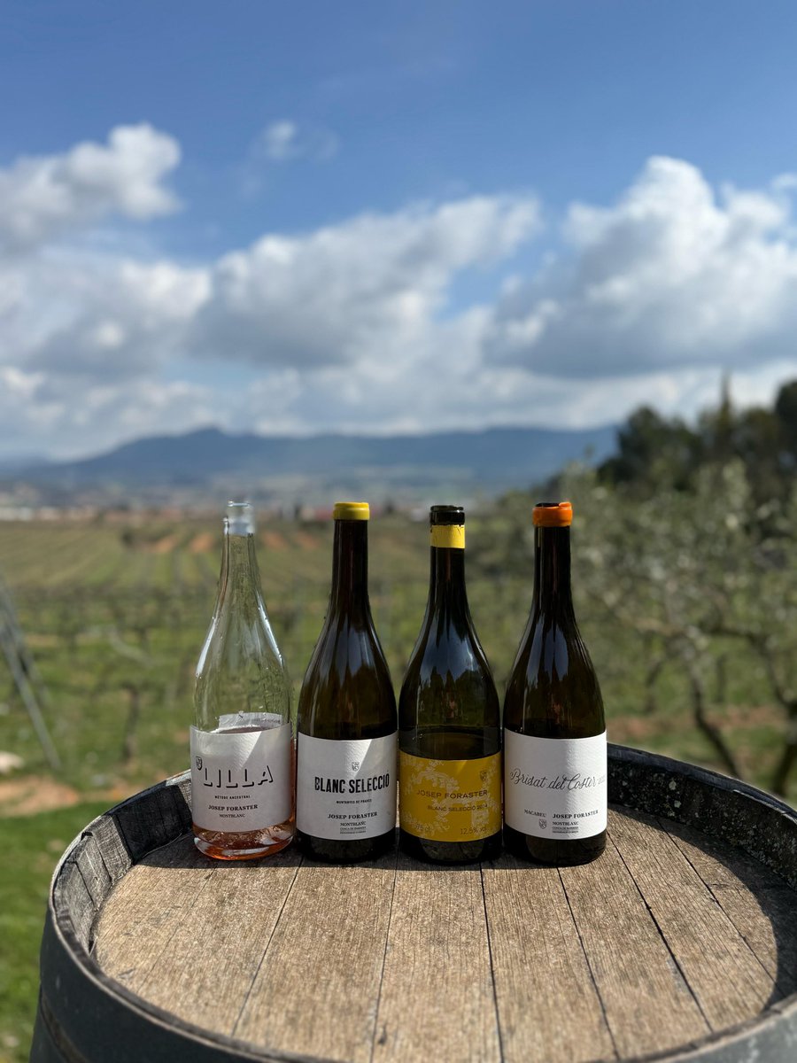 Marina Olivella tweet media