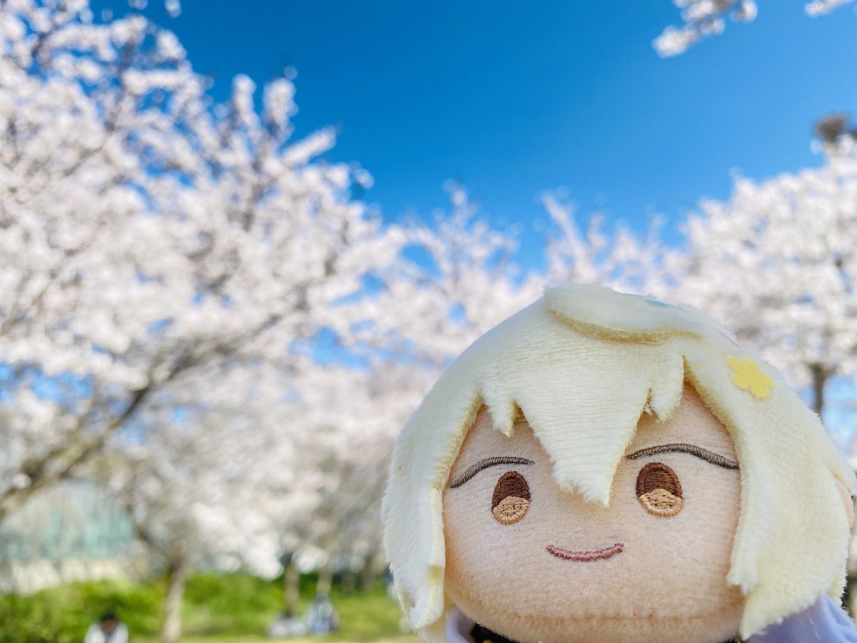 「母からよは花見を所望するとのお達しが来たので地元でモスを買って兄者ともお花見にき」|もじゃのイラスト