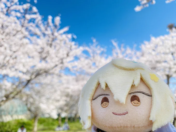 母からよは花見を所望するとのお達しが来たので地元でモスを買って兄者ともお花見にきましたぞ 