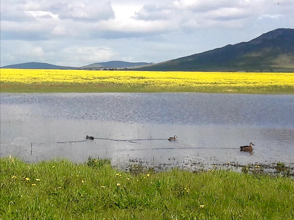 I 💛 Darling Newsletter - mailchi.mp/d36033cbc0df/i…

Click on Facebook Page Newsletter tab to subscribe to this weekly newsletter.

PHOTO: @lorijean_husky