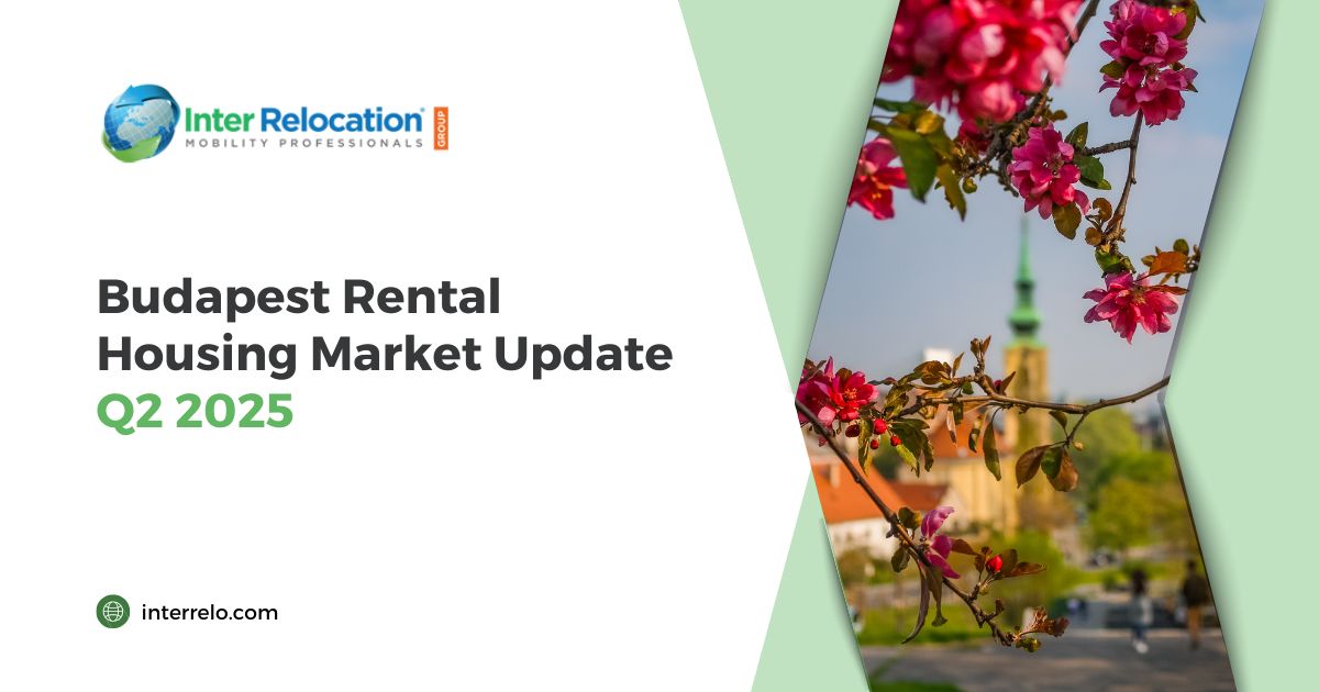 Inter Relocation tweet media