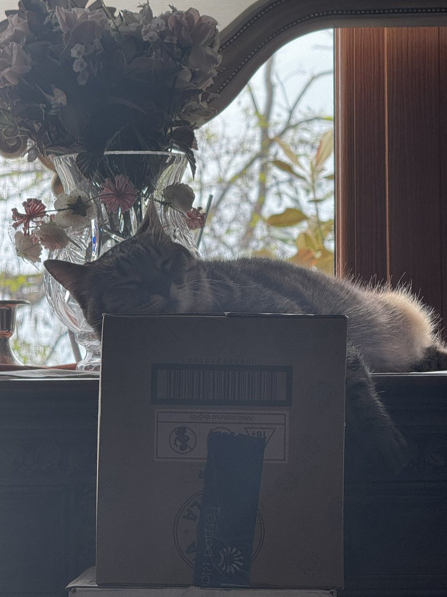 Hepiniz konuşun, bendeki mood ♥️