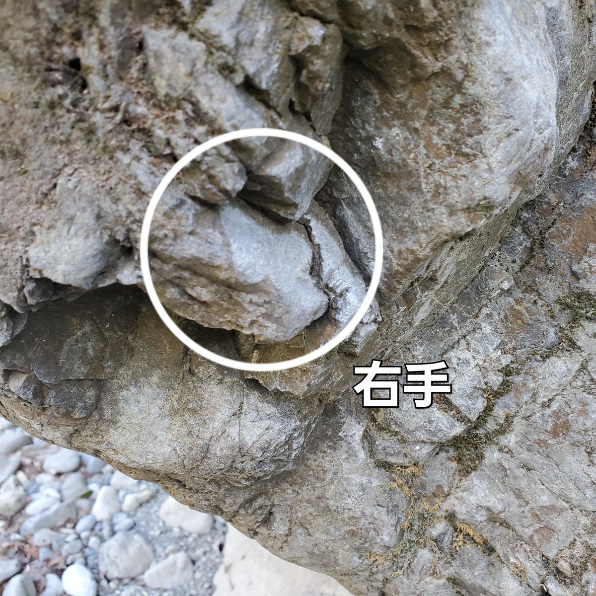 CHABOUZU56's tweet photo. 【御岳ボルダー】

『クックマン』2級

先日、『嶺上開花』を登ったあとに設定した課題です。
限定はありますがパワフルでおもしろいです。

御岳橋の真下にあります。
日影岩からすぐです。 https://t.co/rJjtFjbe3J