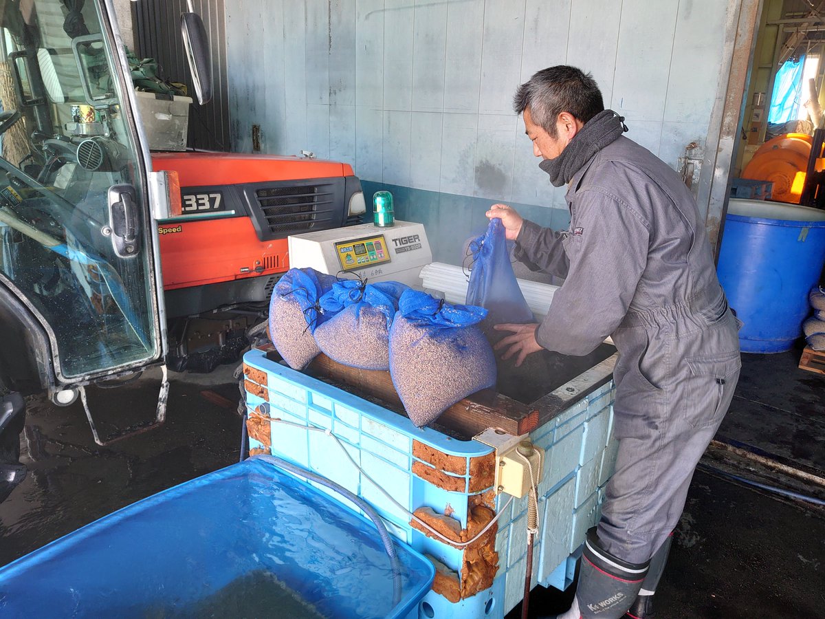 mitsuonokome's tweet photo. 光男の米　ブログ更新☆
無農薬の種もみは、温湯消毒します！ | 光男の米 嫁ブログ | 富山の米農家「��男の米」より直売｜お米通販 有機米・無農薬米・特別栽培米 https://t.co/oKGwRPMkTc
