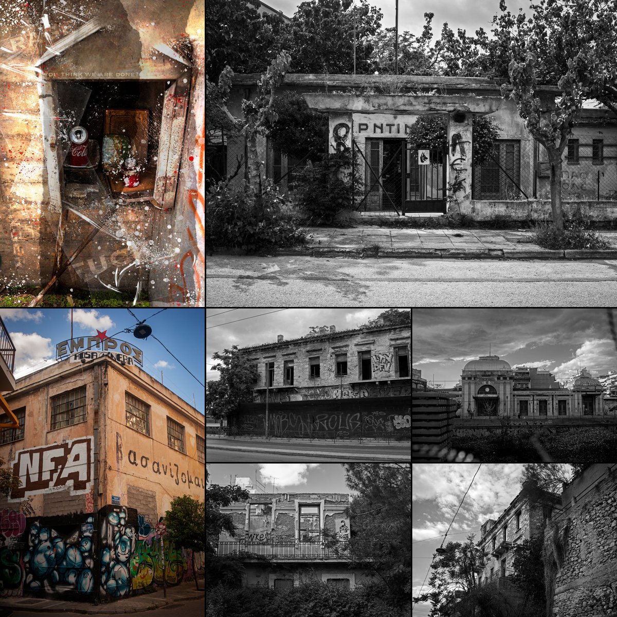 Cassi Moghan tweet media