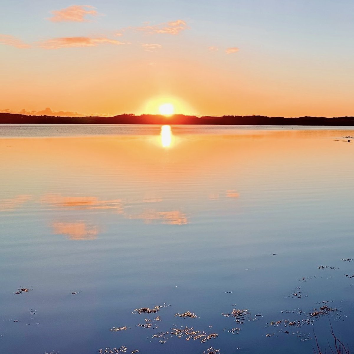 Steven morgan tweet media