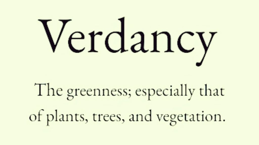 Cian McCarthy tweet media