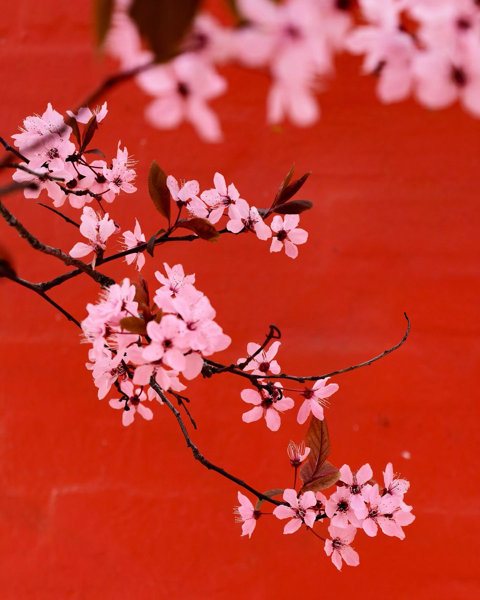 Different strokes. 
My last evening in Copenhagen was spent here. Spring is here and the colours begin to break through the greys.