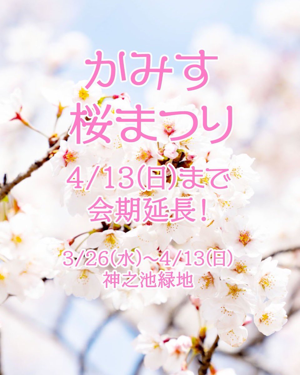 kamisu_kanko's tweet photo. 【かみす桜まつり開催期間延長のお知らせ】
🌸第34回かみす桜まつり🌸
桜の開花がまだ続いているため、期間を4/13(日)まで延長しました！
まだお花見楽しめます♪
期間中は夜桜のライトアップも実施✨
#かみす桜まつり #桜まつり #お花見 #お花見2025 #神之池 #神之池緑地 #神栖 #神栖市 #茨城 #茨城県 https://t.co/jlgU1fOWAm