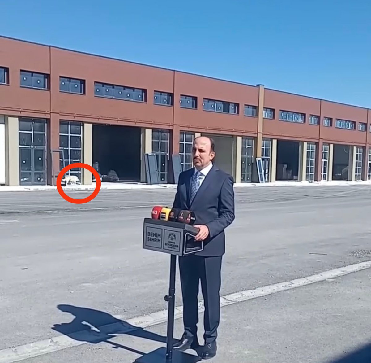 Konya'da bulunan Eski sanayi ve Karatay sanayi yeni yerine taşınıyor.
Yeni sanayii sitesinin tanıtımı Basın toplantısında başkanın arkasından sokak köpeği geçiyor... 
Sokak köpeği sorunu gözümüzün içine girecek kadar büyüdü farkında mısınız?
<a href="/u_ibrahim_altay/">Uğur İbrahim Altay</a> <a href="/Konyabuyuksehir/">Konya Büyükşehir Belediyesi 🇹🇷</a>