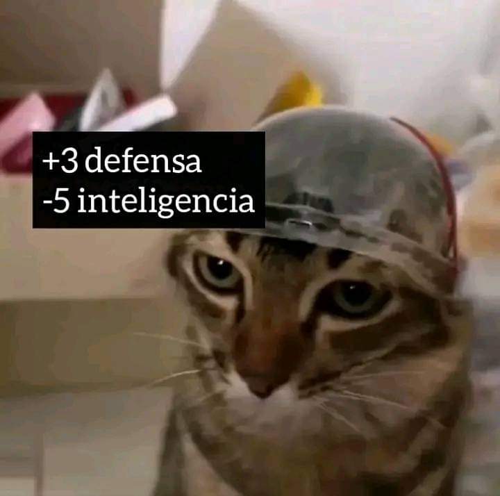 TheBadLuckCatt's tweet photo. @AllenStardust Muchas gracias amigo :D, Moe esta bien preparado para la guerra: https://t.co/IQnqrIEmmk
